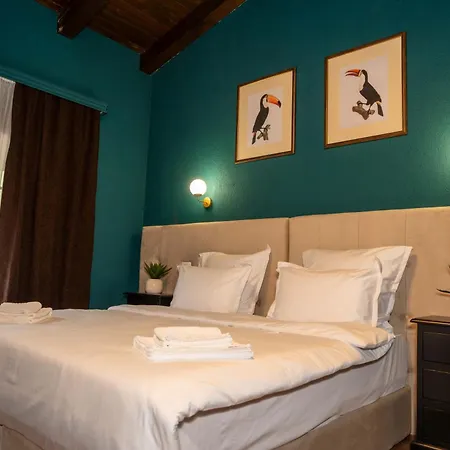 Marabou براشوف