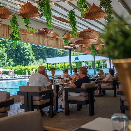 Marabou براشوف